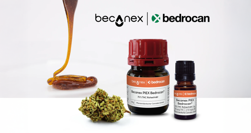 Bedrocan flower to be offered as Becanex PIEX raw extract for compounding