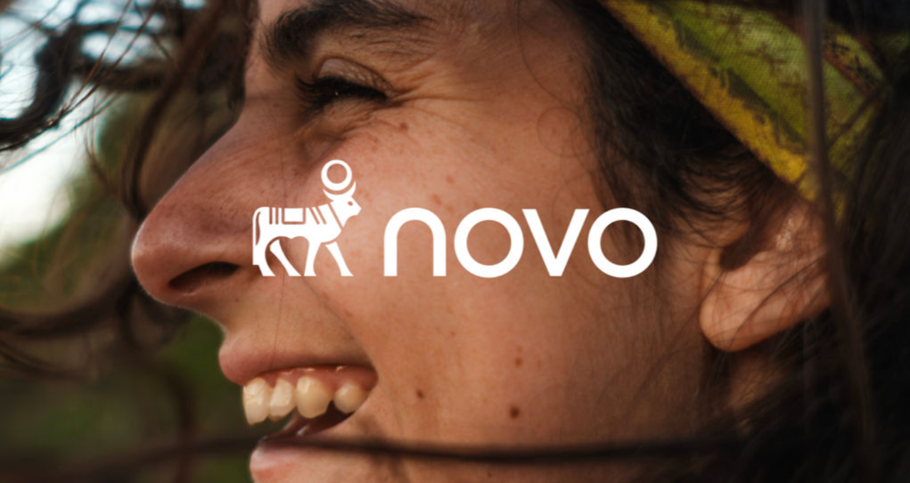 Novo Nordisk adopts Novo name in global rebrand